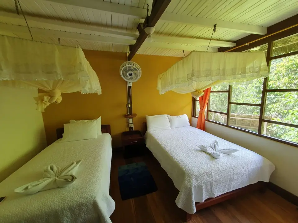 004EcuadorNov2023-YasuniNP-YarinaLodge.jpg