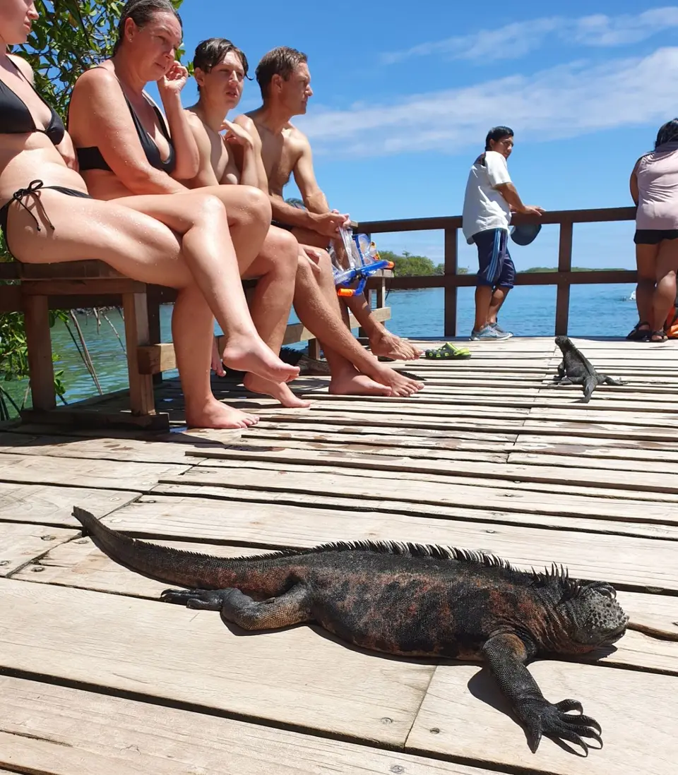 005EquadorNov2023-GalapagosIsabela-BootsanlegermitSeelöwe.jpg