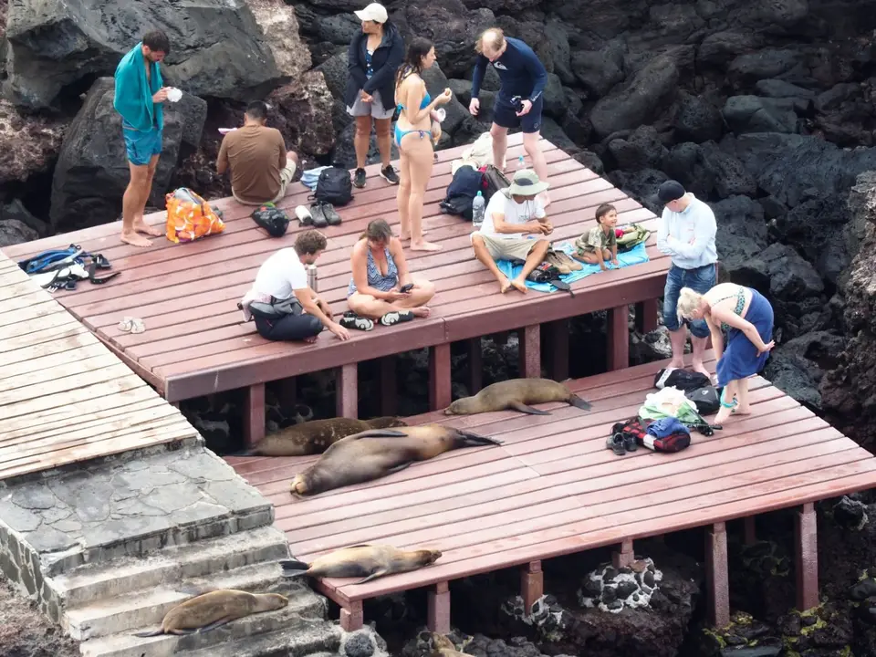 031EquadorNov2023-GalapagosSanCristobal-BadeplattformmitSeelöwen.JPG