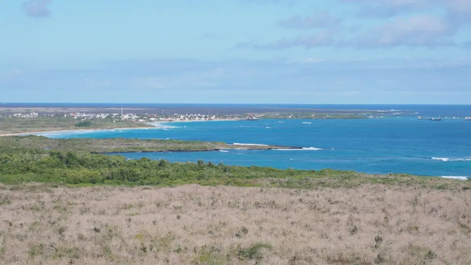 121EquadorNov2023-GalapagosIsabela.JPG