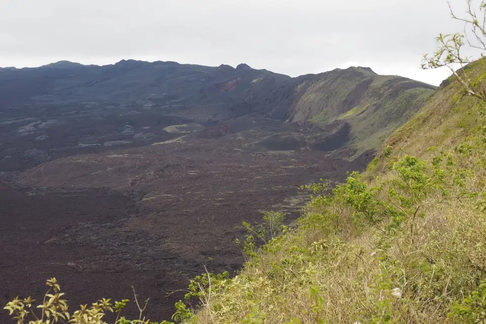 242EquadorNov2023-GalapagosIsabela-WanderungLavafeldCaldera.JPG