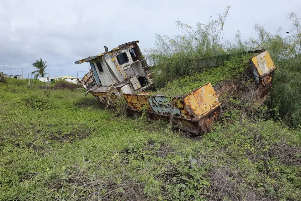 254EquadorNov2023-GalapagosIsabela.jpg