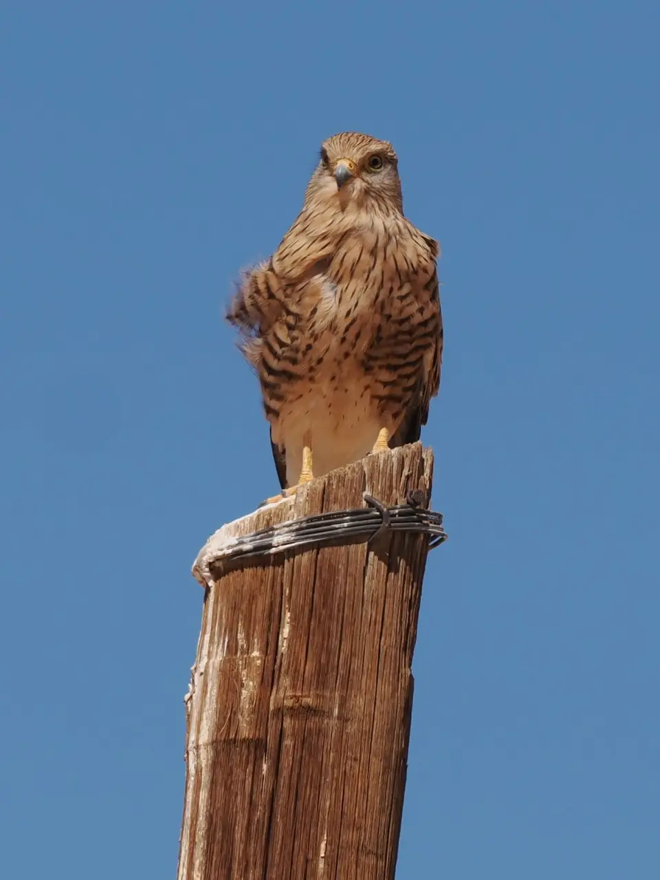 P1012018.JPG