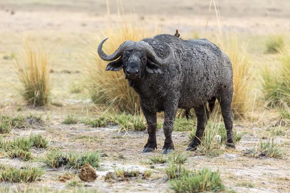 HB_2021_5743.jpg