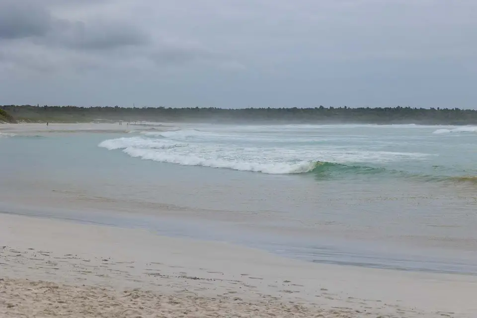HB_2024_6564.jpg