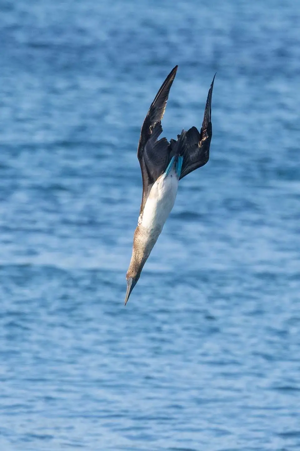 HB_2024_7950-2.jpg