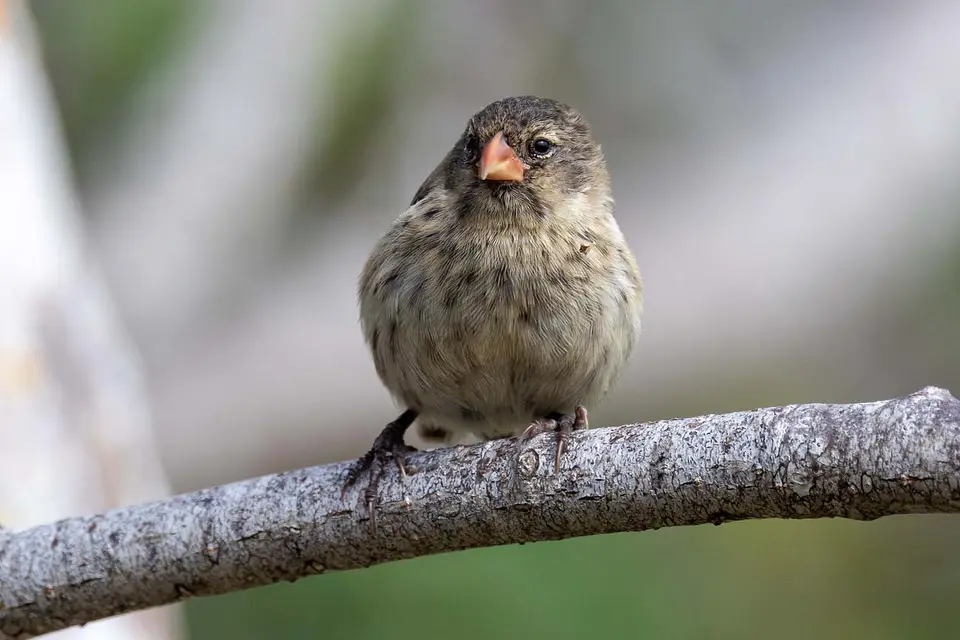 HB_2024_8272.jpg