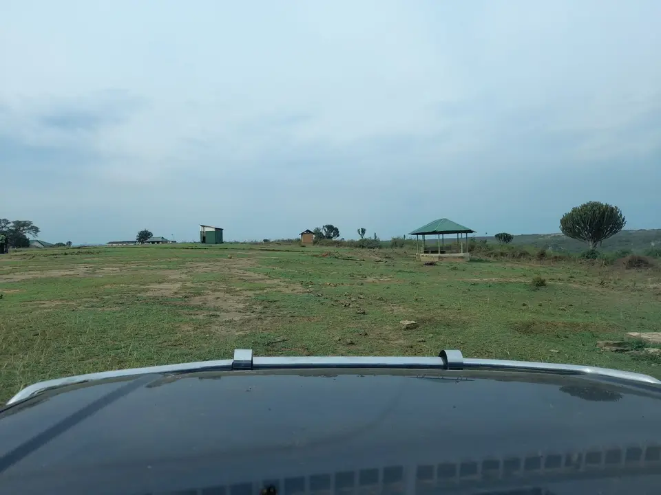 20220822_162421.jpg