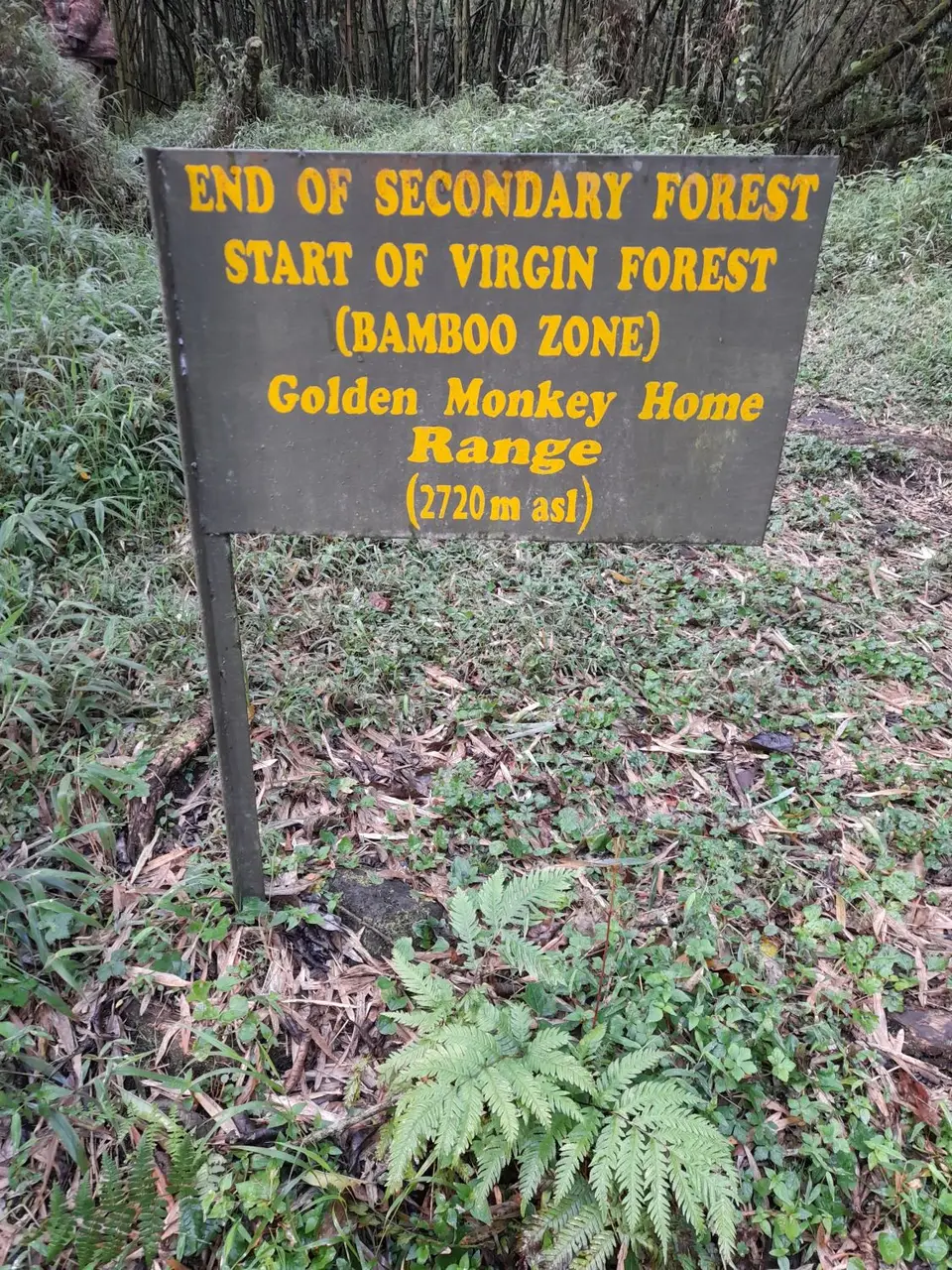 20220829_084914.jpg