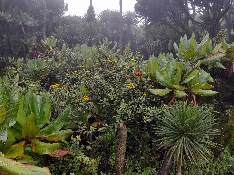 20220829_095939.jpg