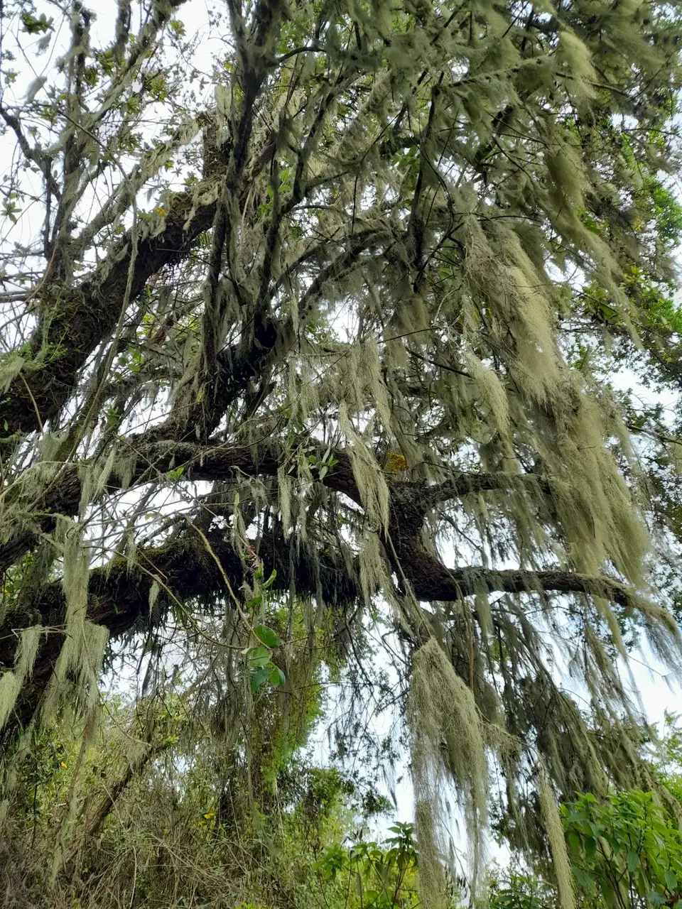 20220829_100410.jpg
