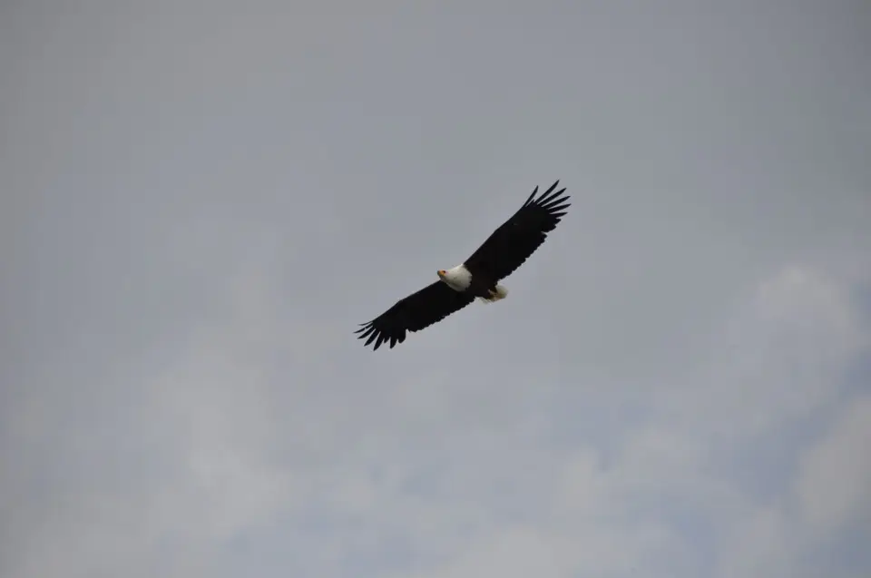 DSC_0598-2.JPG