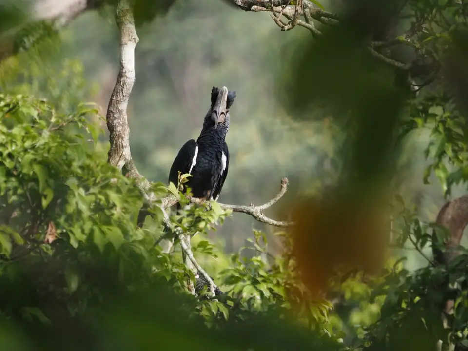P8211302.JPG