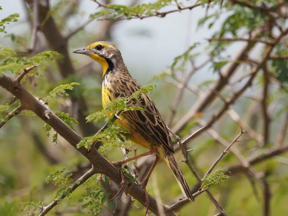 P8221340.JPG