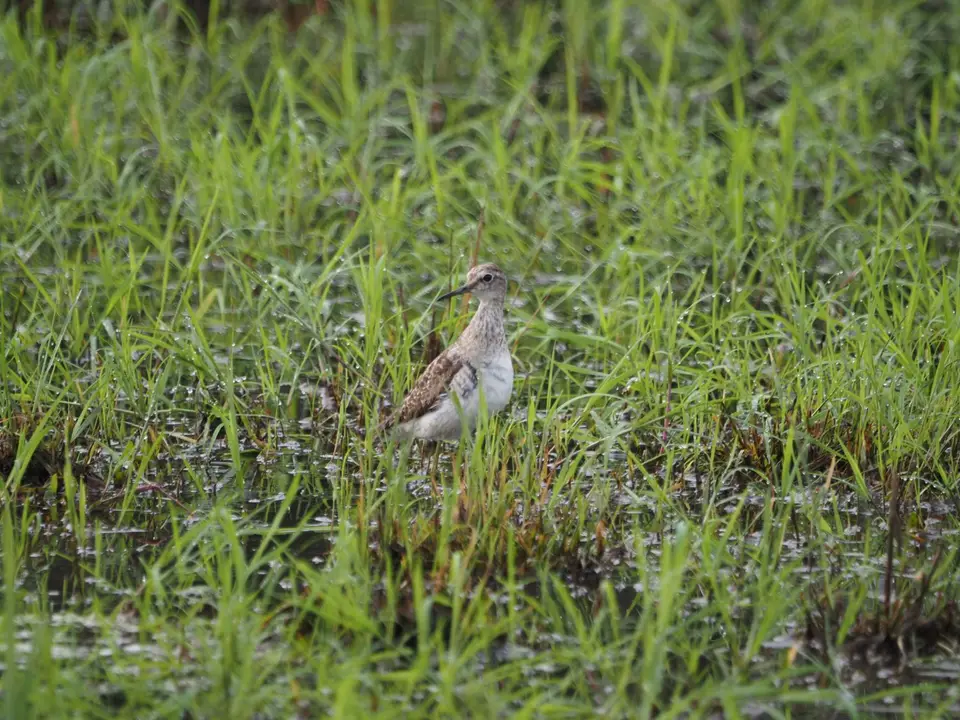 P9022691.JPG