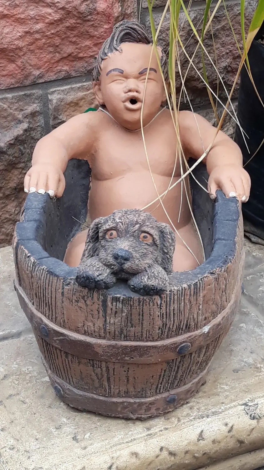20201230_123223.jpg