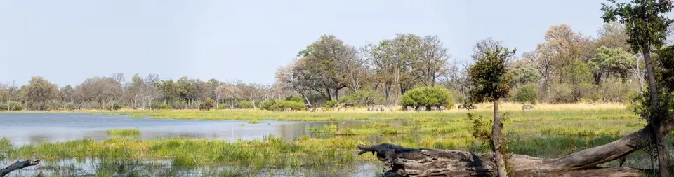 20220929-IMG_5684-Pano.jpg