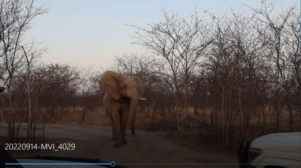 Elefant_im_Camp.JPG