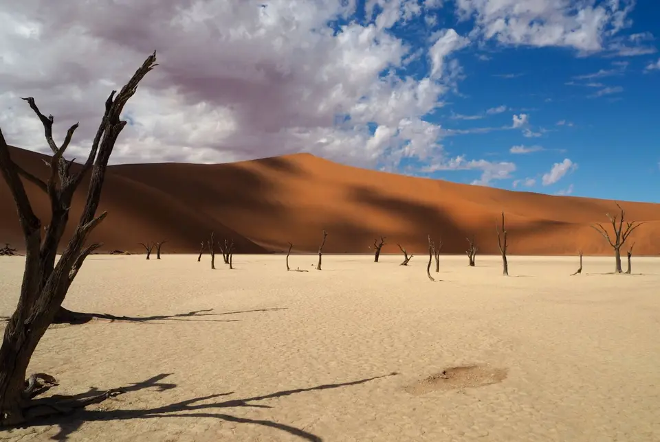 5-4Deadvlei.JPG