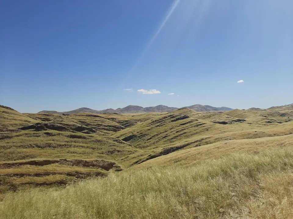 20220416_114921.jpg