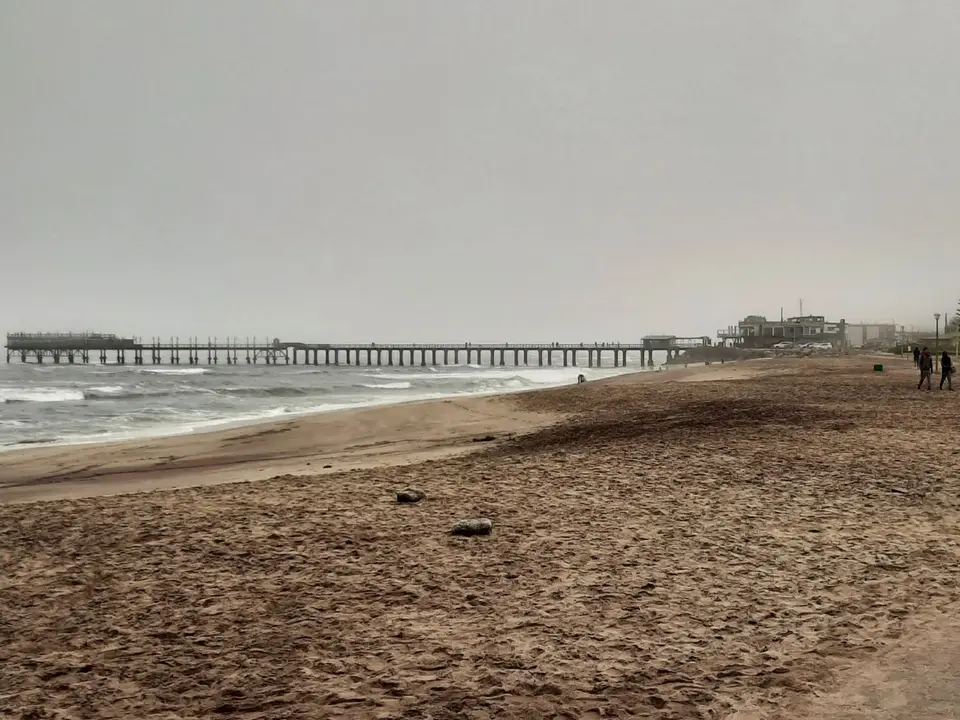 20220417_104514.jpg