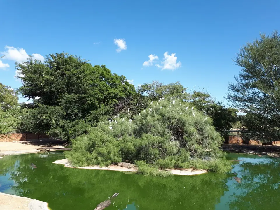 20220428_102945.jpg