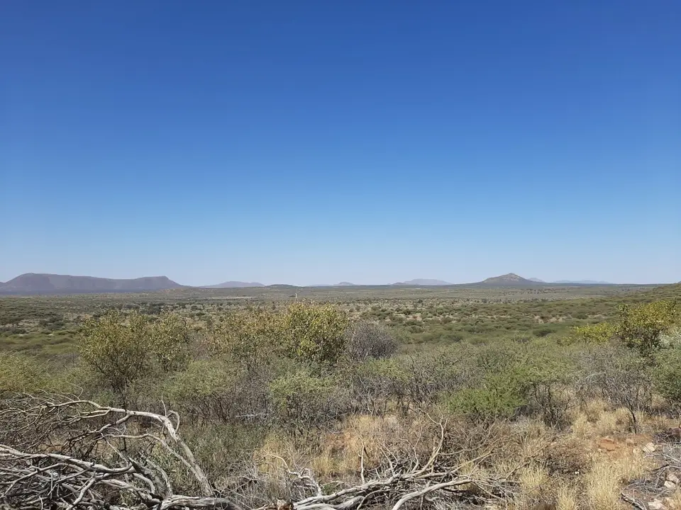 20240501_115740.jpg