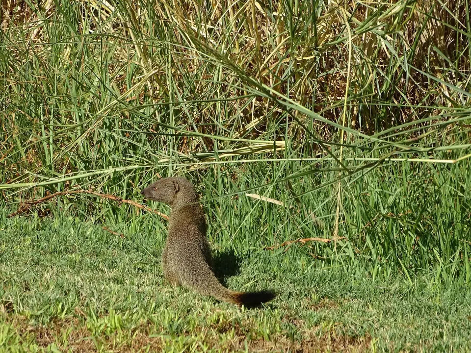 DSC03400.JPG