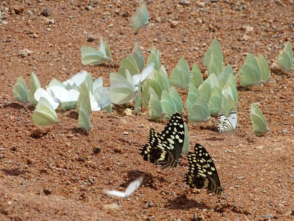 DSC03495.JPG