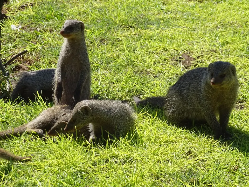 DSC05845.JPG
