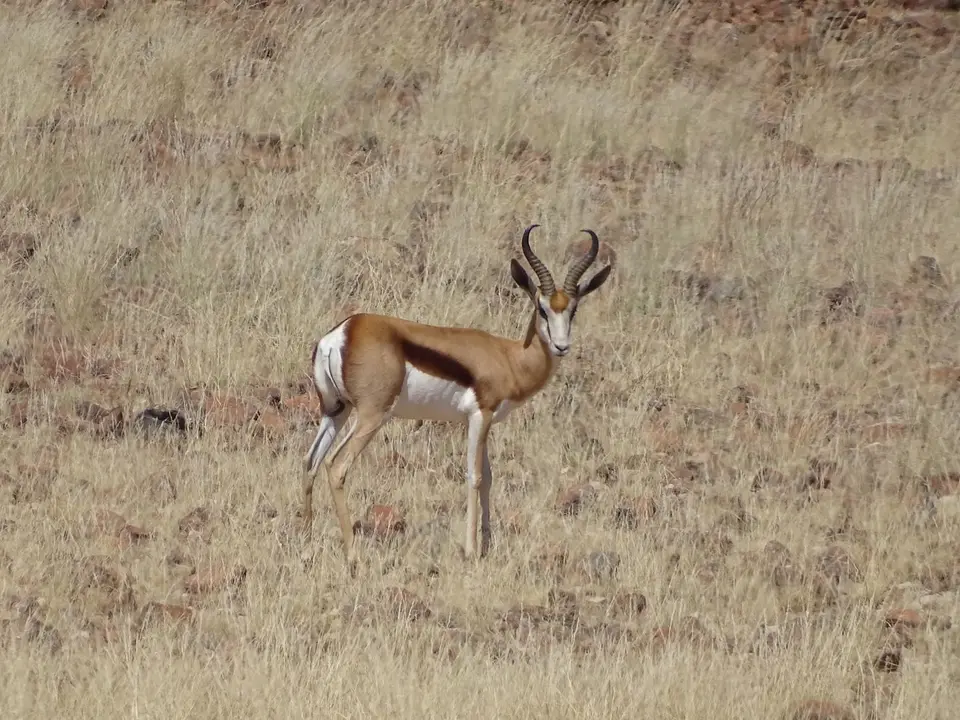 DSC07457.JPG