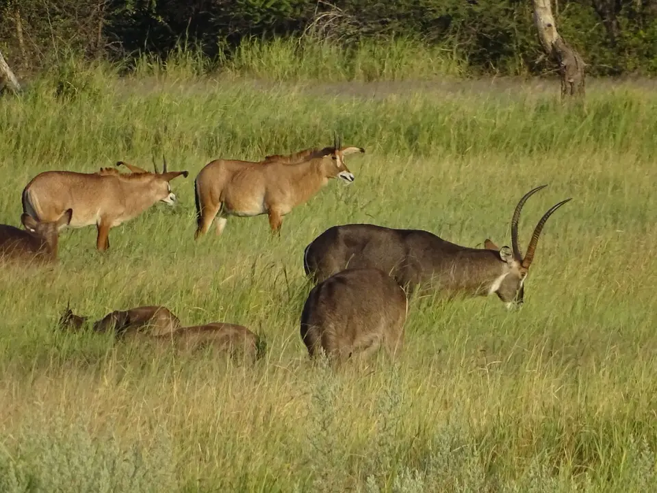 DSC08835.JPG