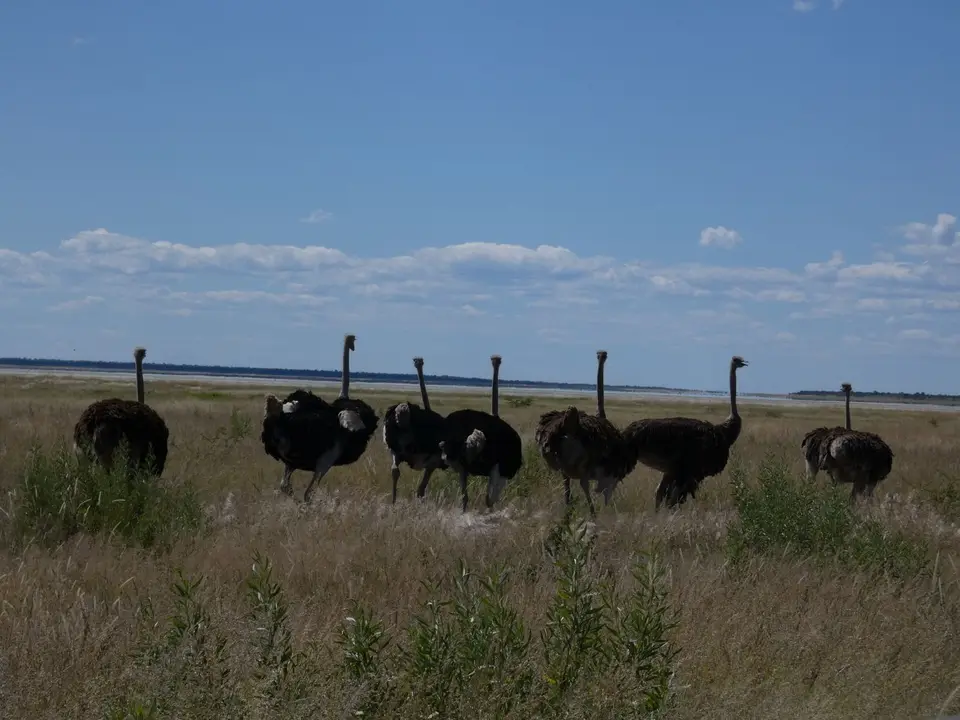 P1000476.JPG