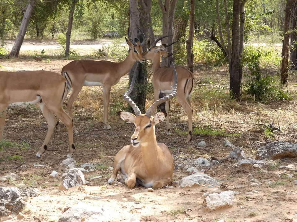 P1000707.JPG