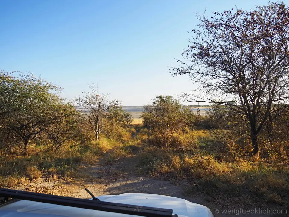 P5241511-Baobab3BlickPfanne.jpg