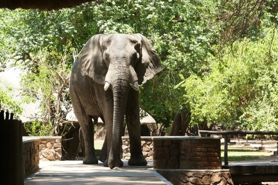 P1024248-2.JPG