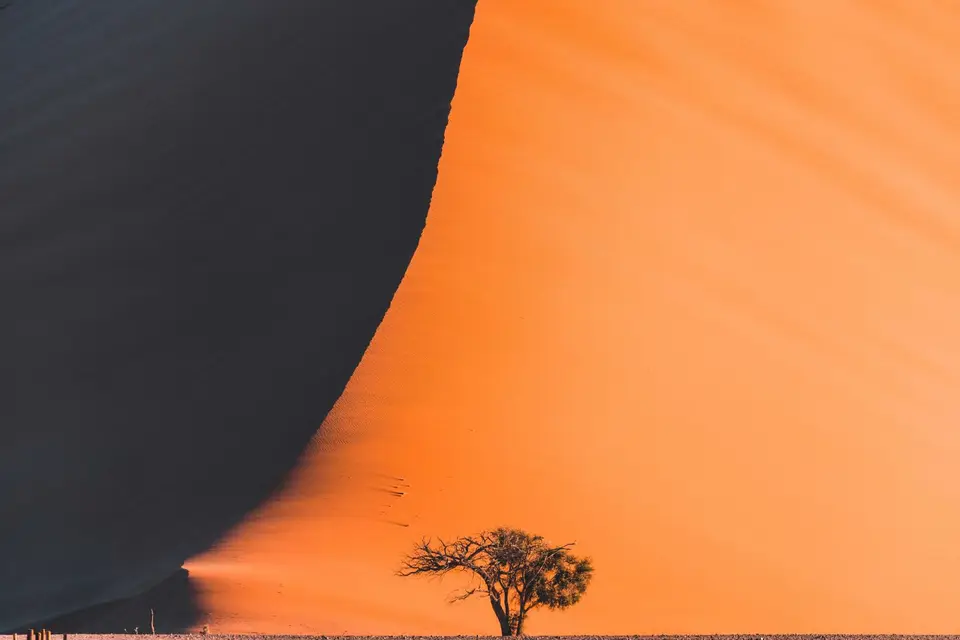 0H7A0063.jpg