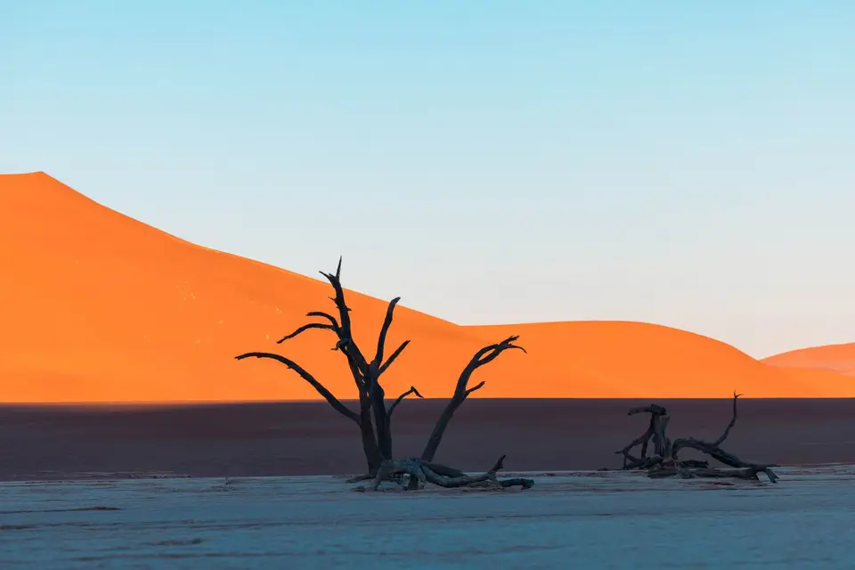 0H7A0087.jpg