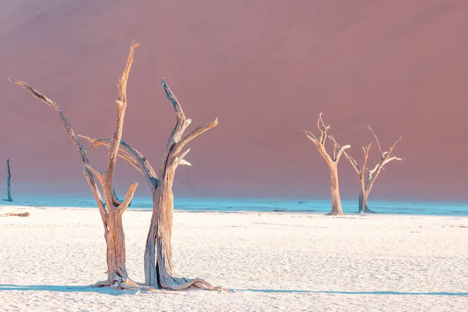0H7A0124.jpg
