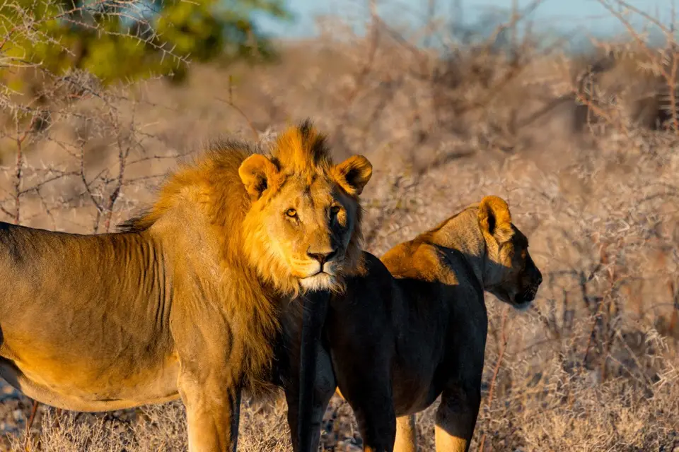 Namibia-Botswana-30.jpg