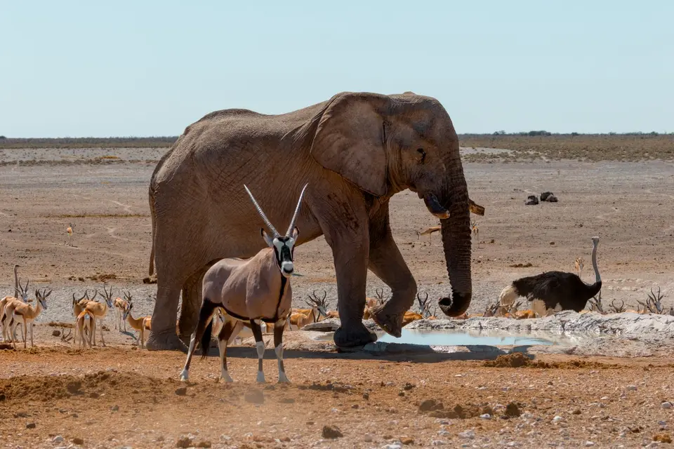 Namibia-Botswana-32.jpg