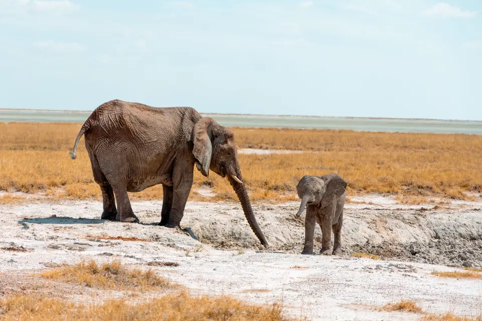 Namibia-Botswana-45.jpg