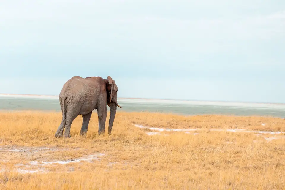 Namibia-Botswana-46.jpg