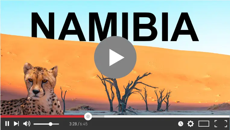 Youtube-player-video-Preumim-vector-PNG.jpg