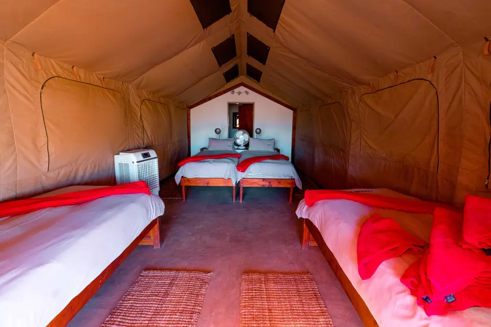 camping2go-2-2.jpg