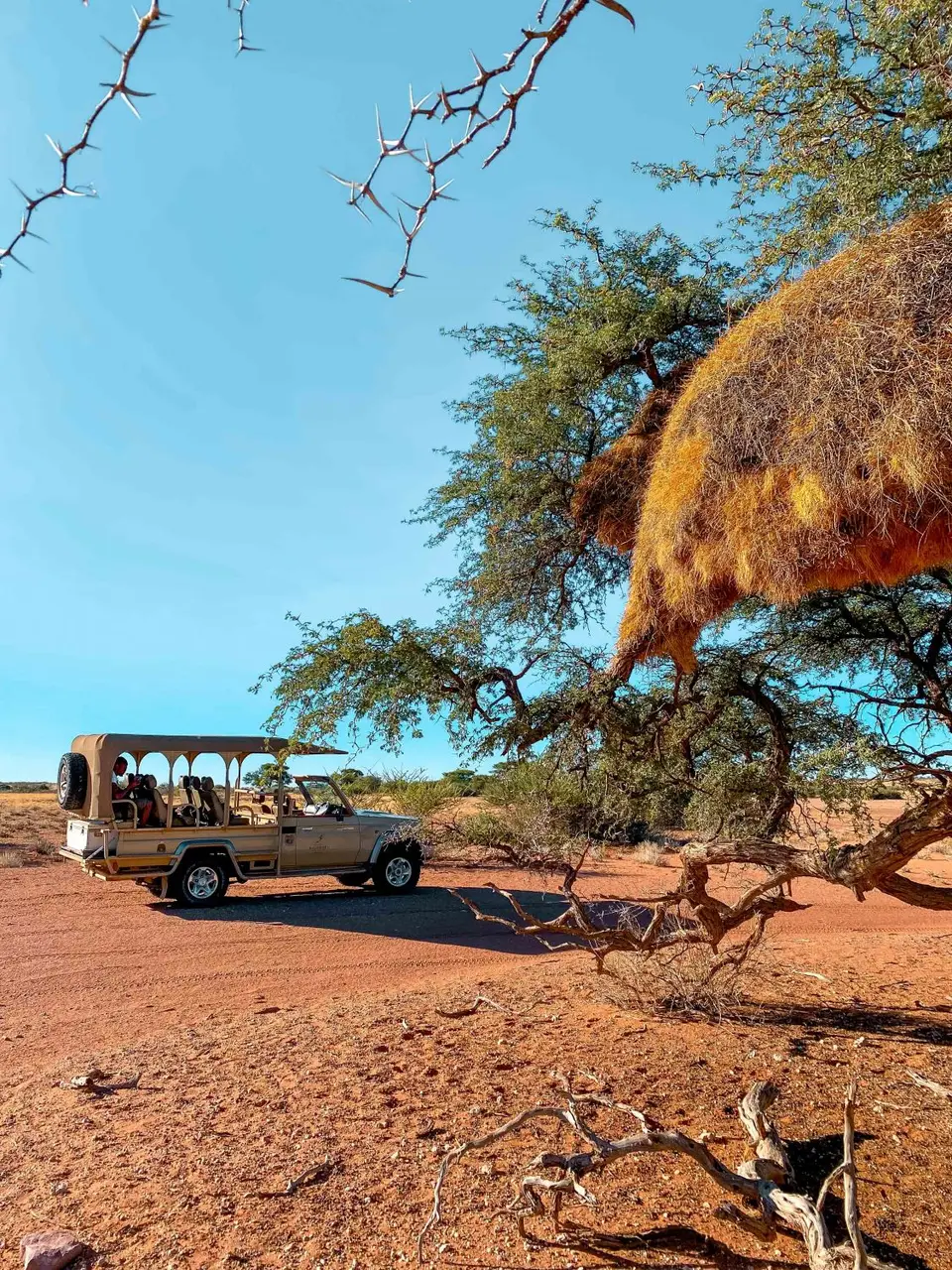 sundowner-tour.jpg