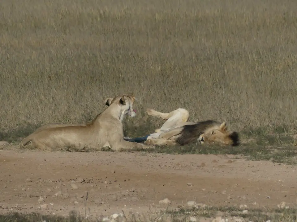 P1220733.JPG