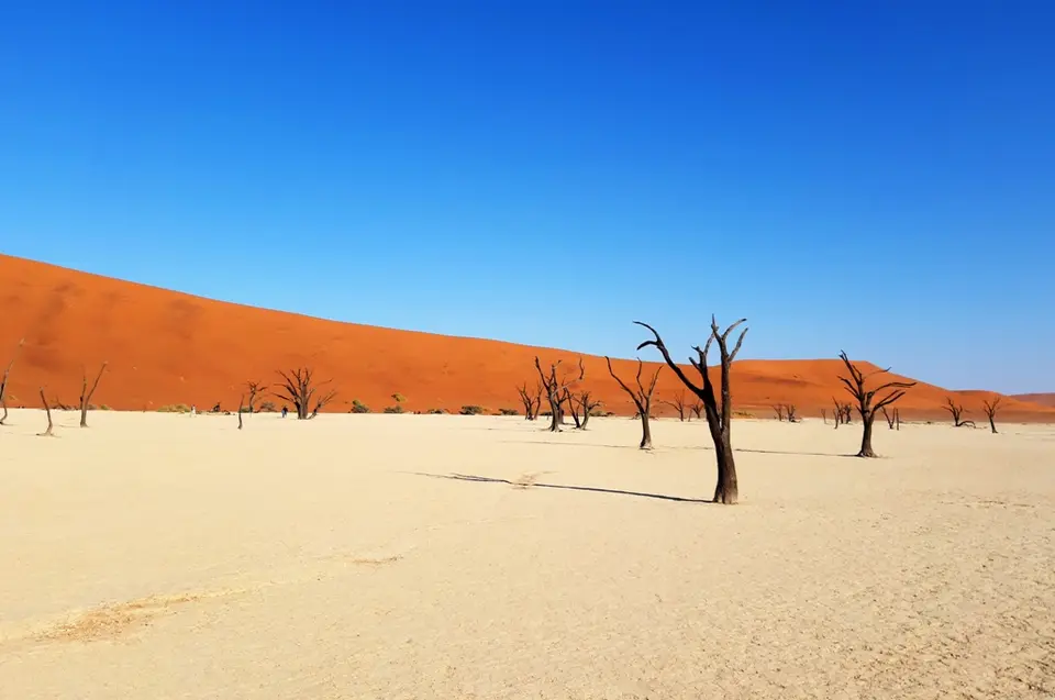 Deadvlei_k.jpg