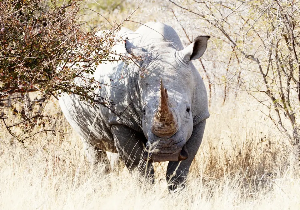 k17.jpg