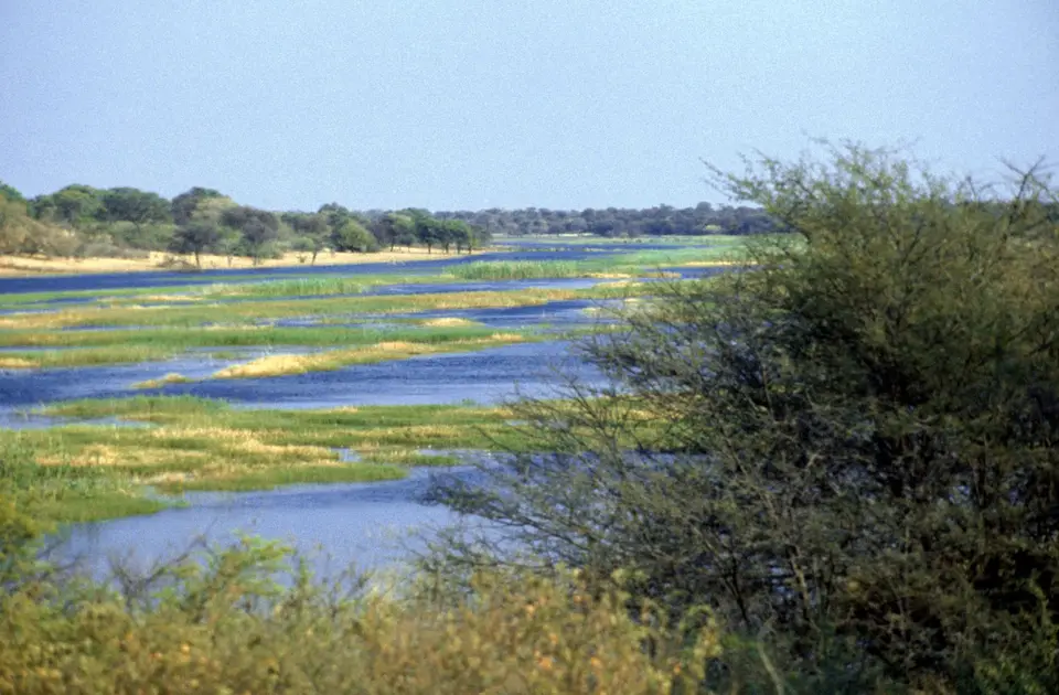 Boteti1976.jpg
